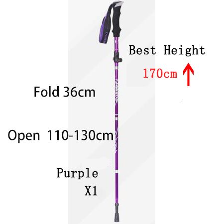 Purple 36cm