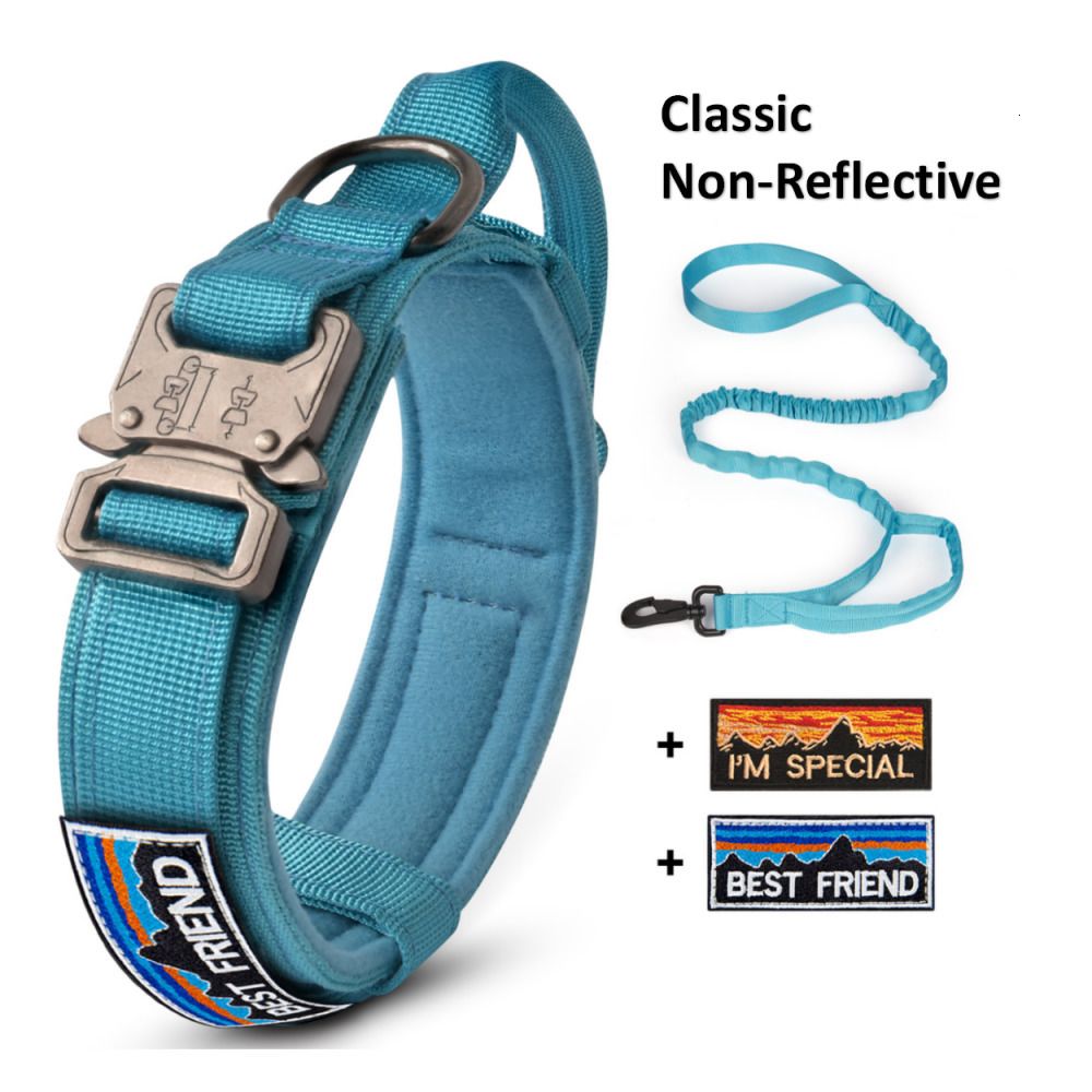 Blue Collar Leash.