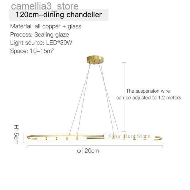 B 직경 120cm