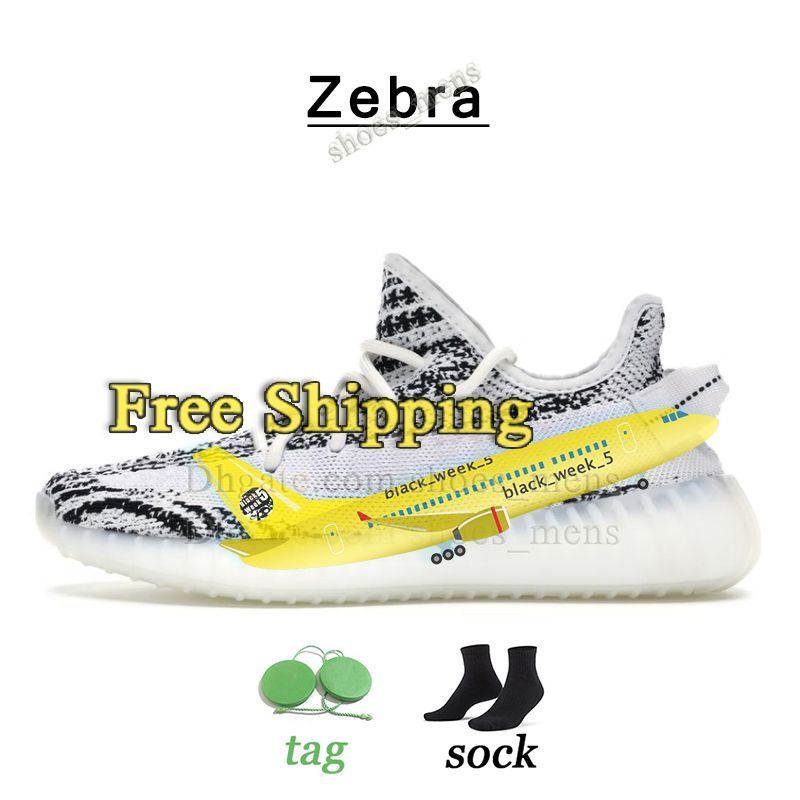 T39 zebra 36-48