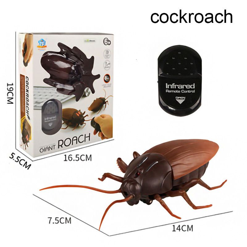 cockroack