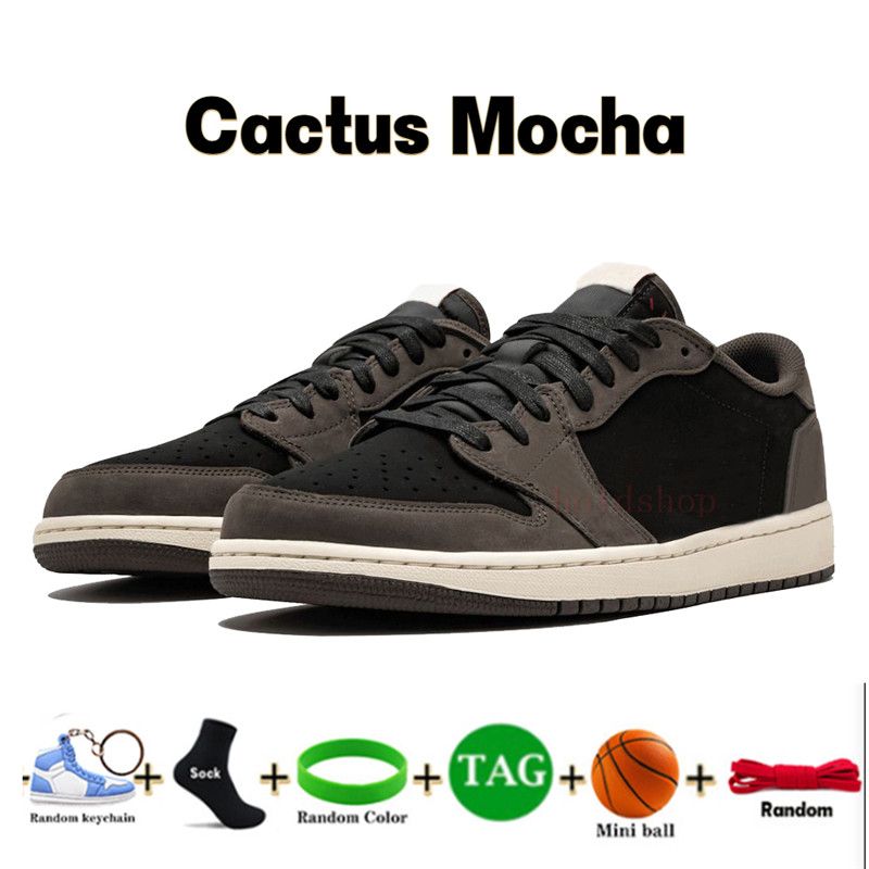 04 Cactus Mocha