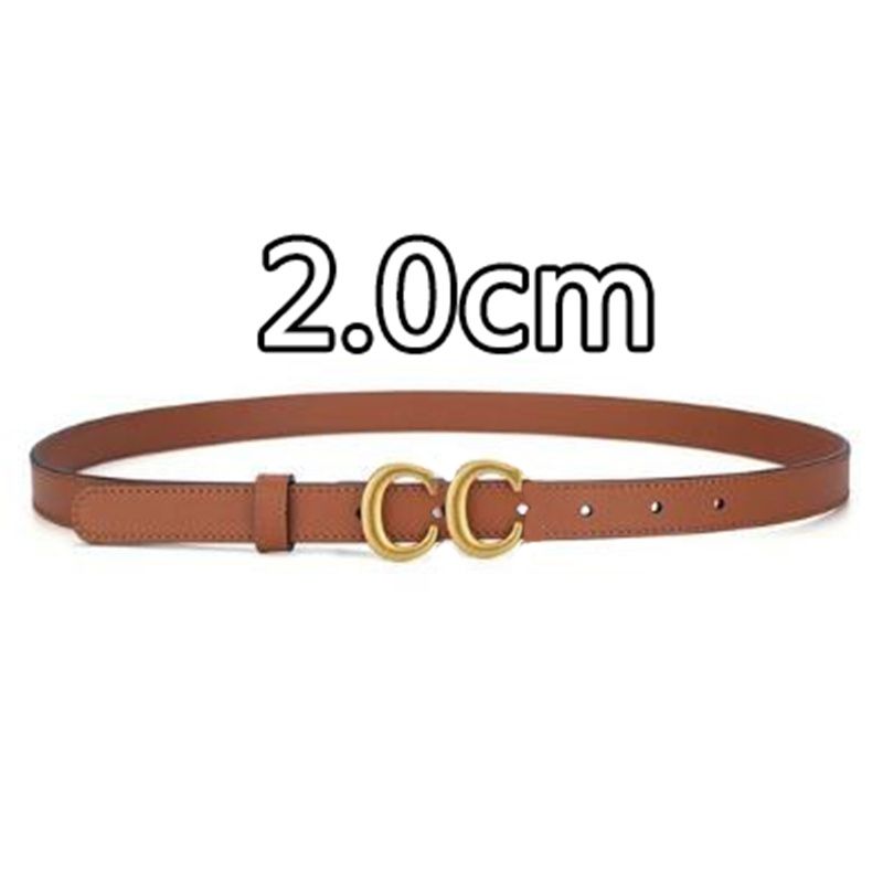 D 18314 #2 Brown-Gold 2.0cm