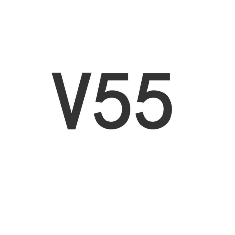 v55