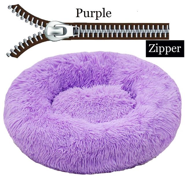 Zipper Purple