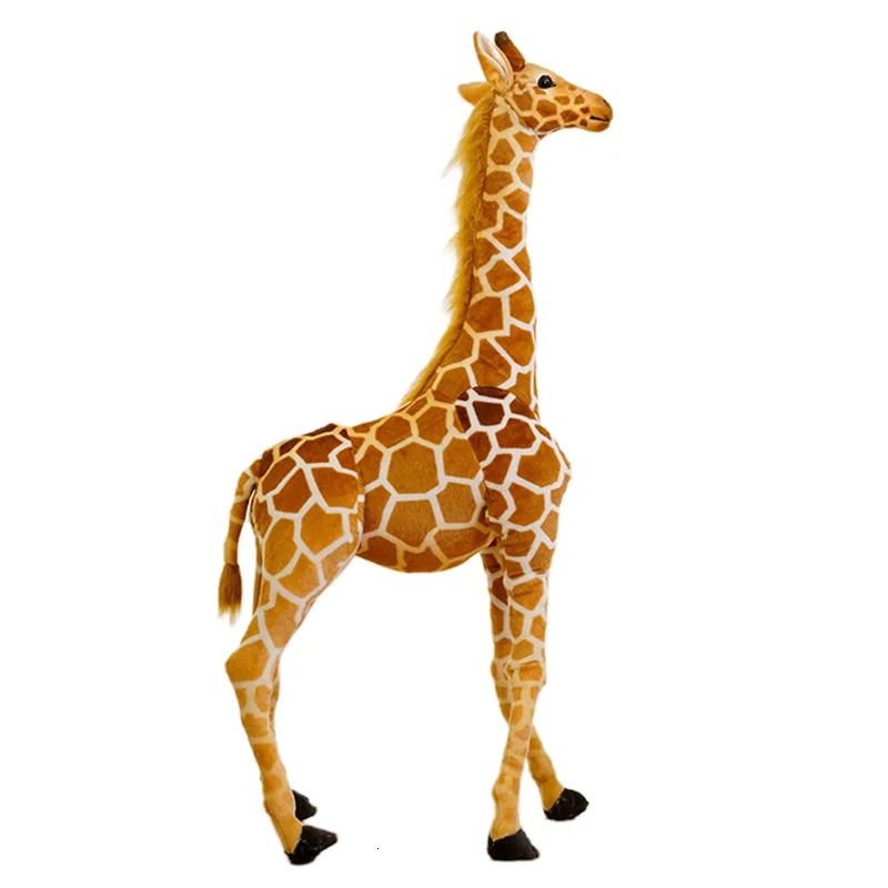 girafe