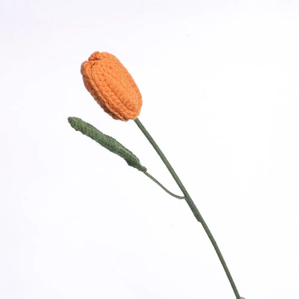 Tulip Orange