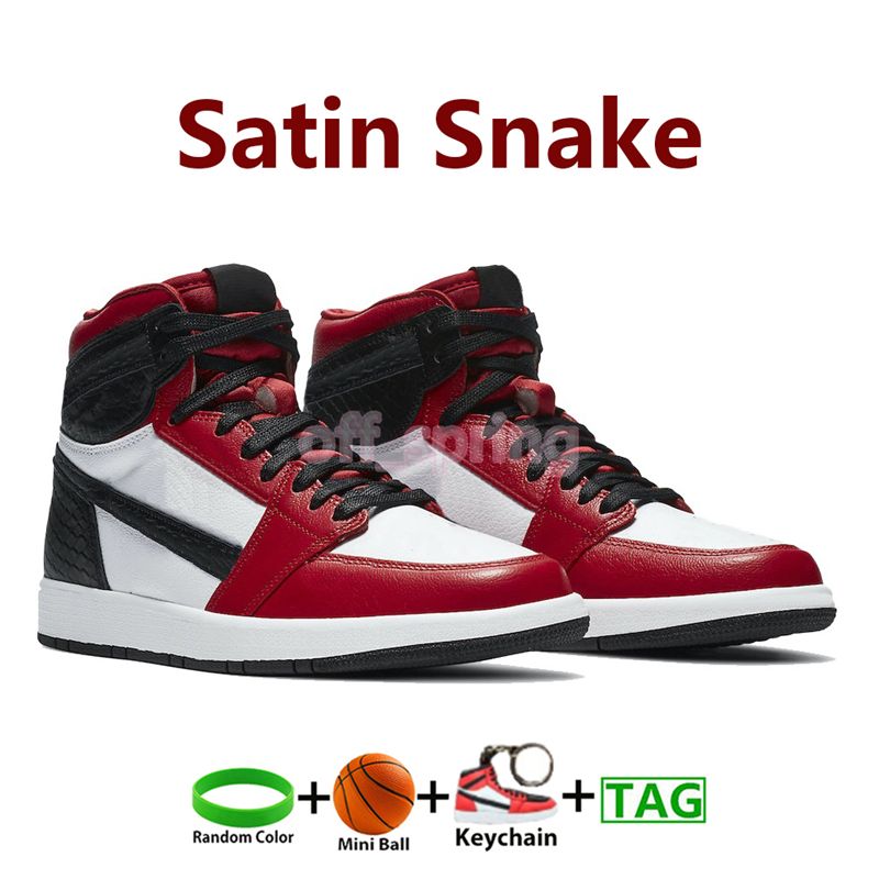 #43-Satin Snake