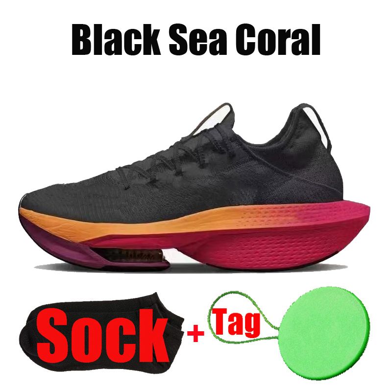#27 Black Sea Coral 40-45