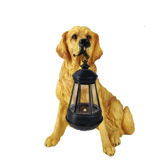 Gouden retriever a