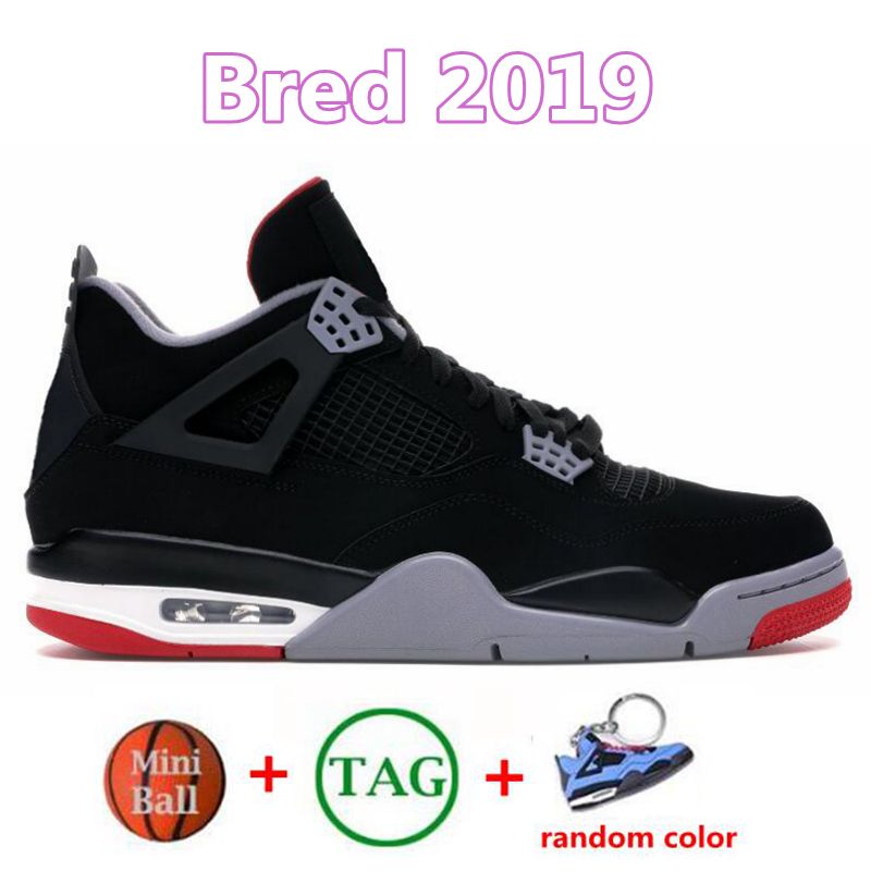 Bred 2019