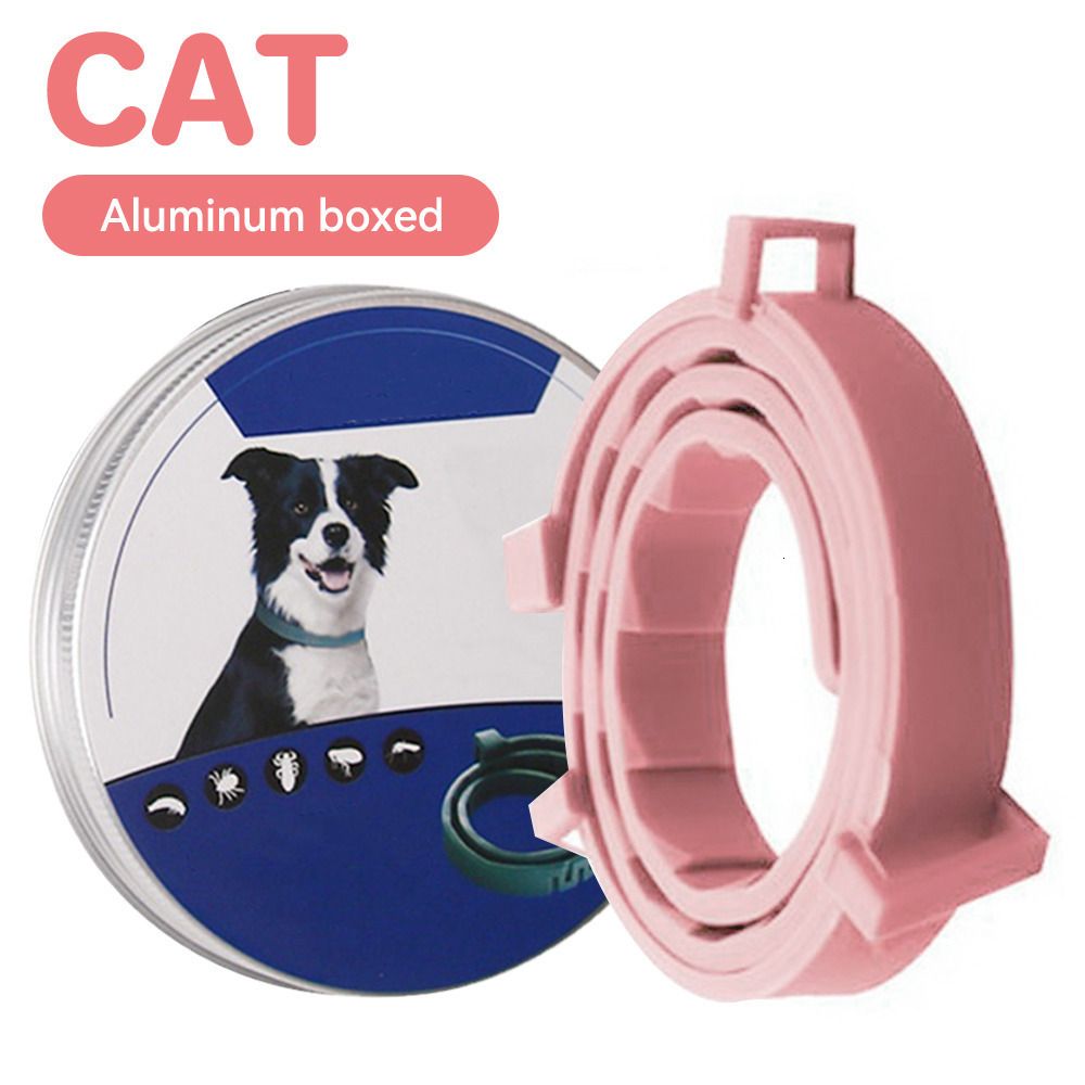 d 39 cm Verpackte Katze