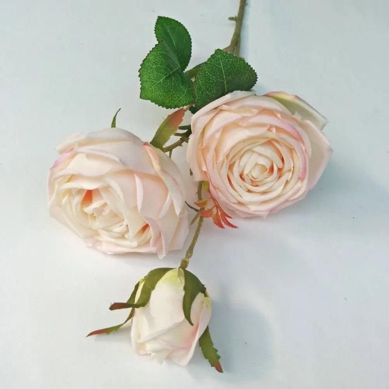 63 cm-Rosa pallido