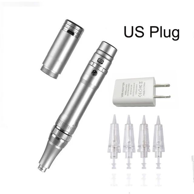 US Plug-Silver