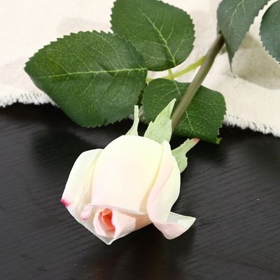 C rose blanc