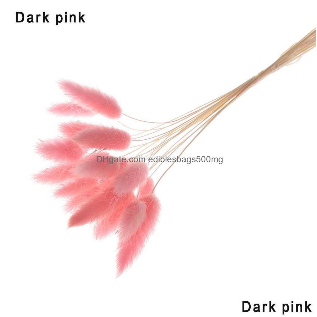 Dark Pink13