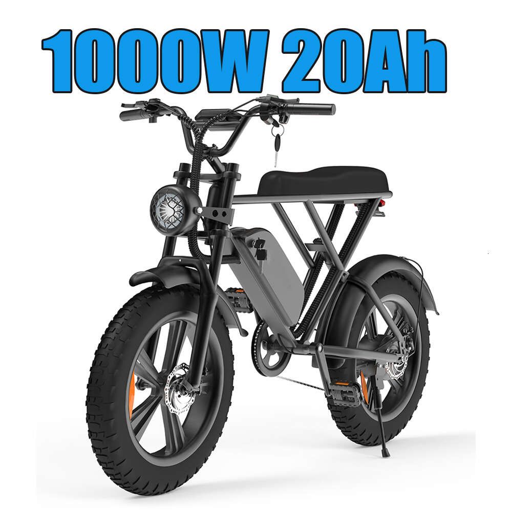 1000W 20AH