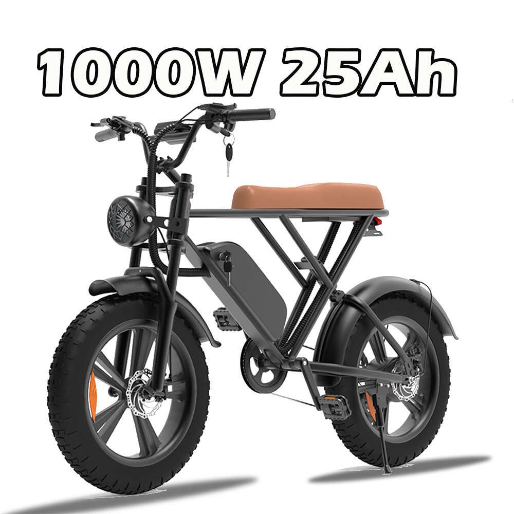 1000W 25AH