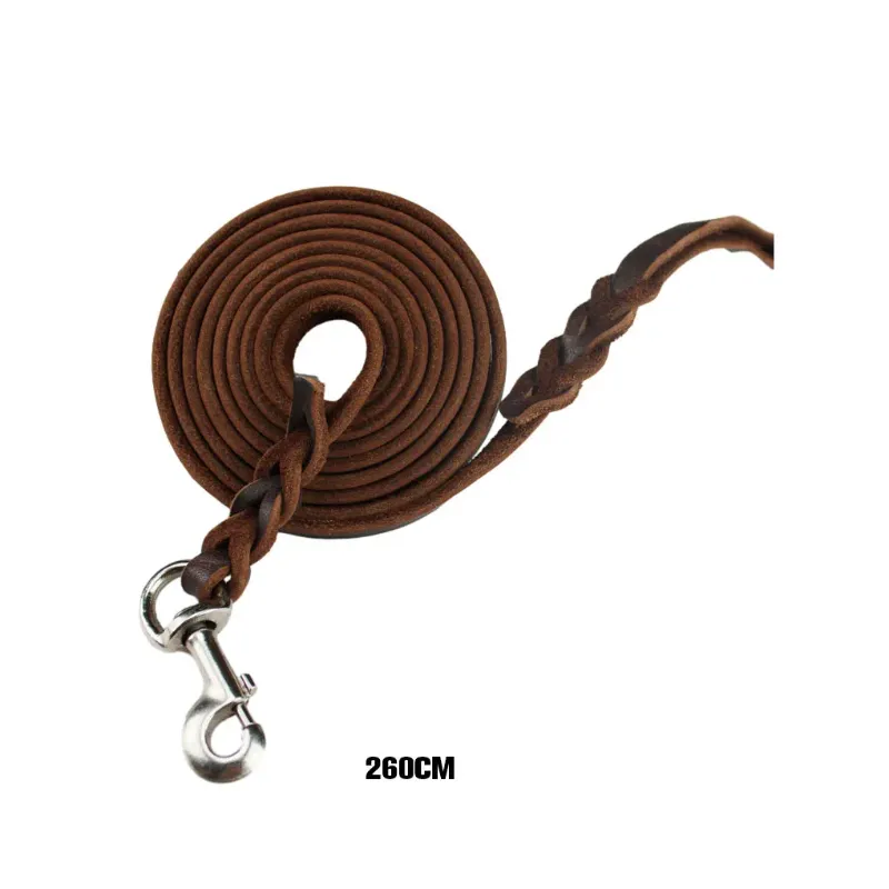 China Iron Hook1 2 300 cm 2