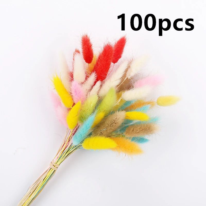 100pcs coloridos.