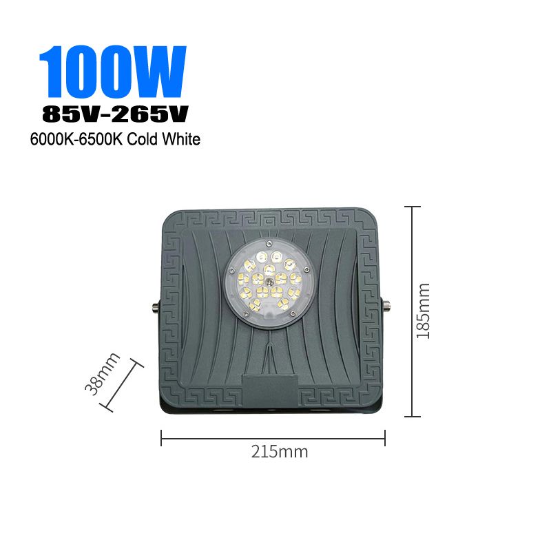 Ronde lens 100W