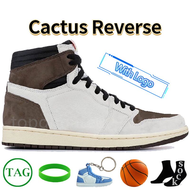 #40- Cactus Reverse