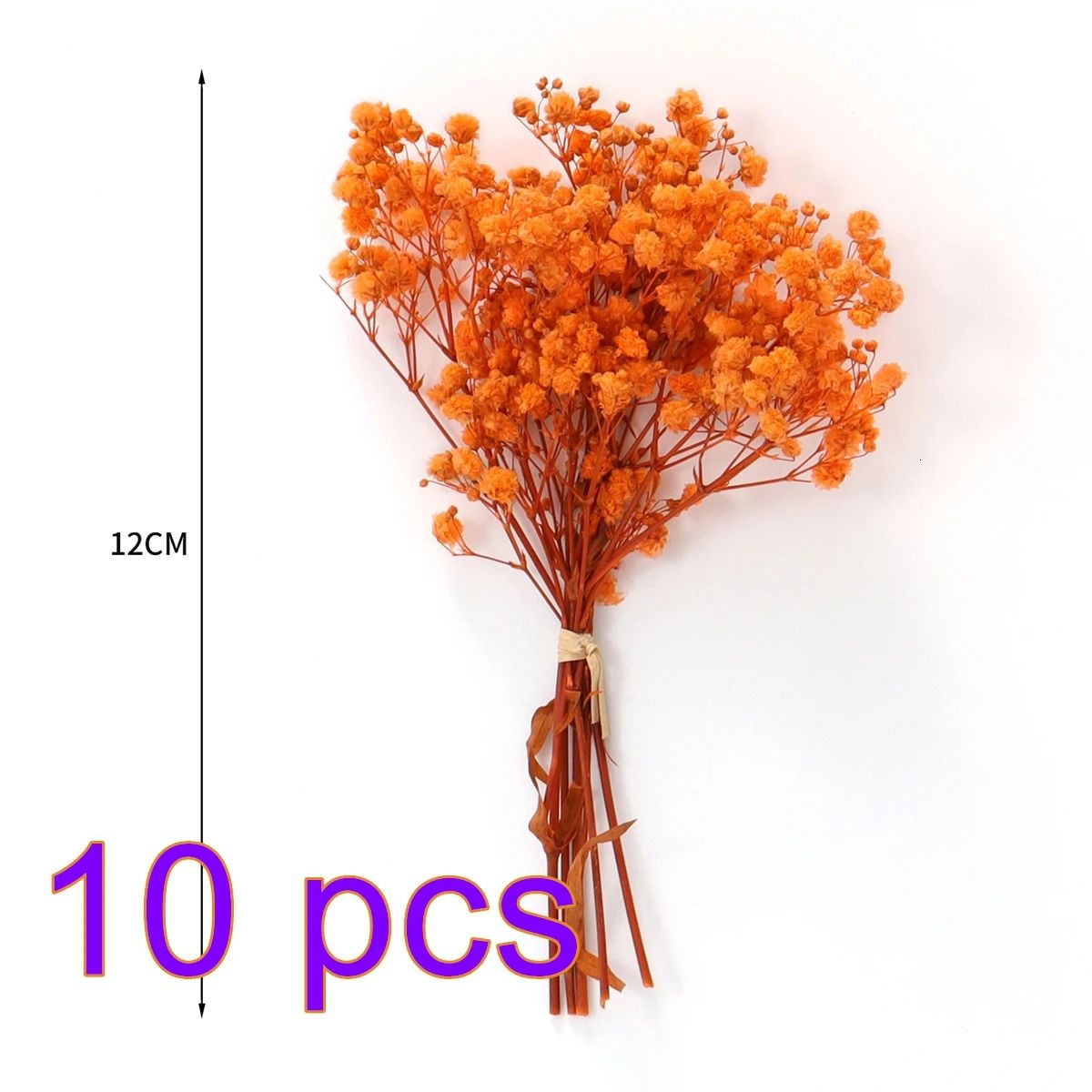 10 gäng orange