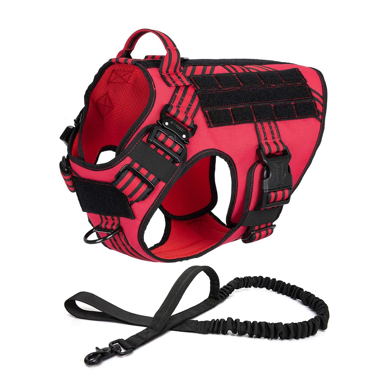 Red Harness Leash