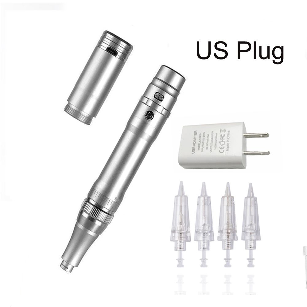 Us Plug-silver