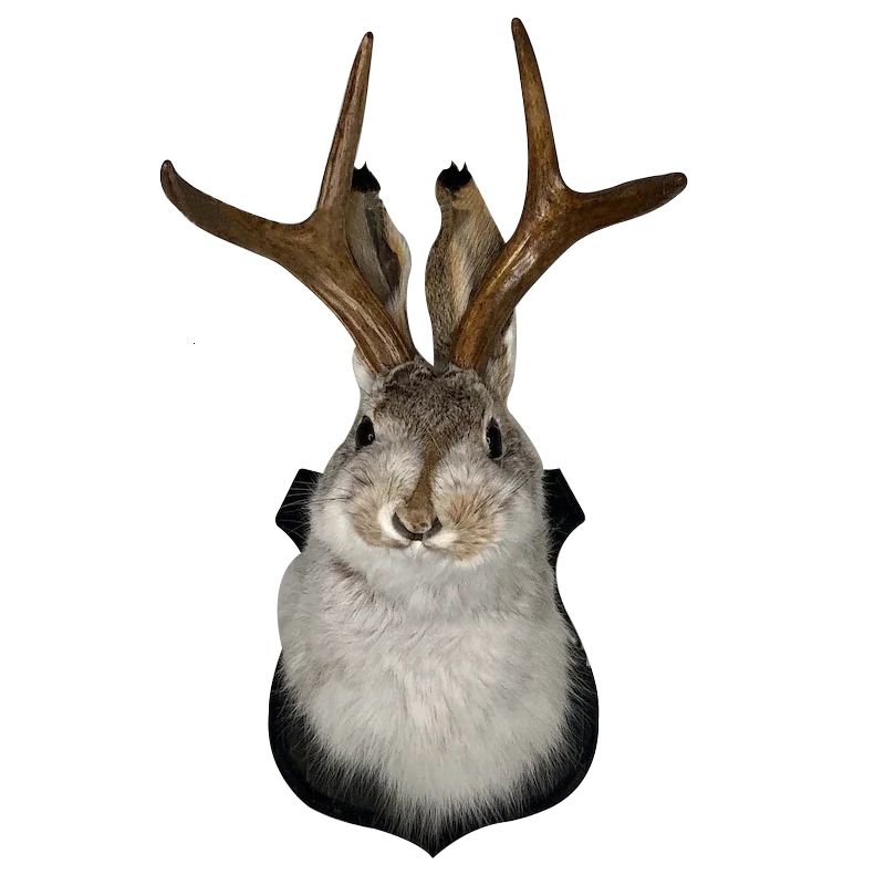 Antlers Rabbit