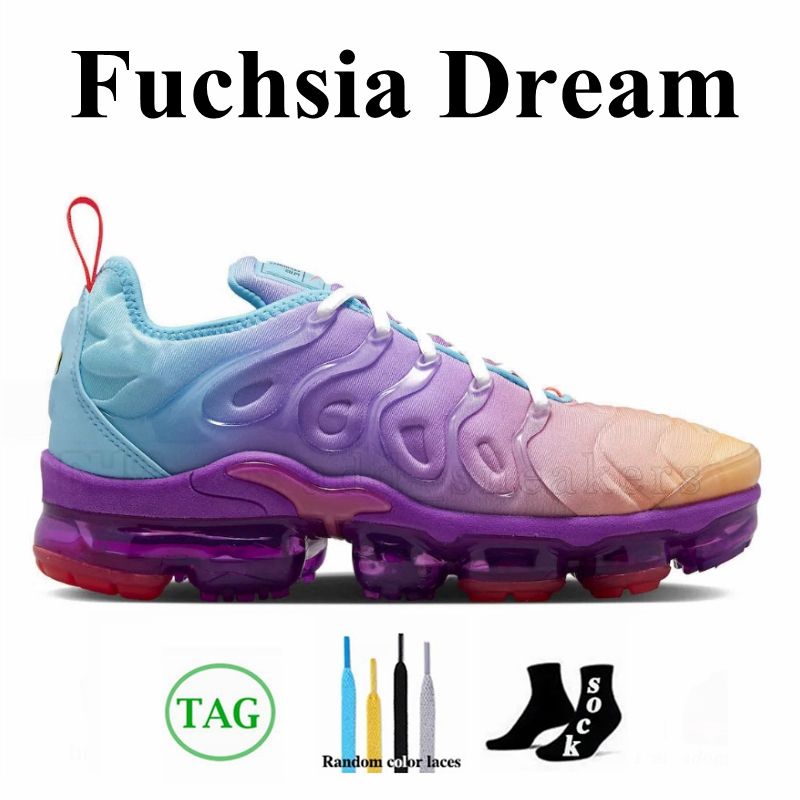 36-40 Sonho de Fuchsia