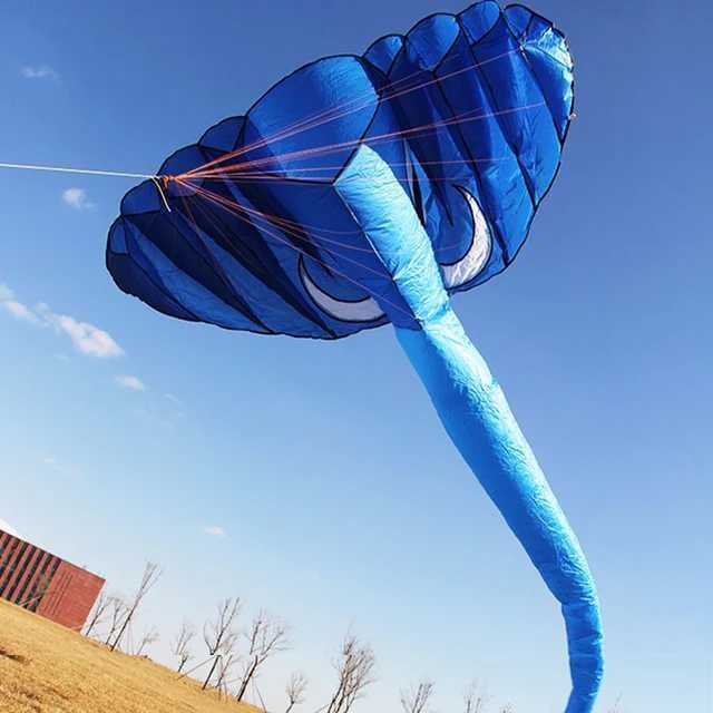 Niebieski latawiec