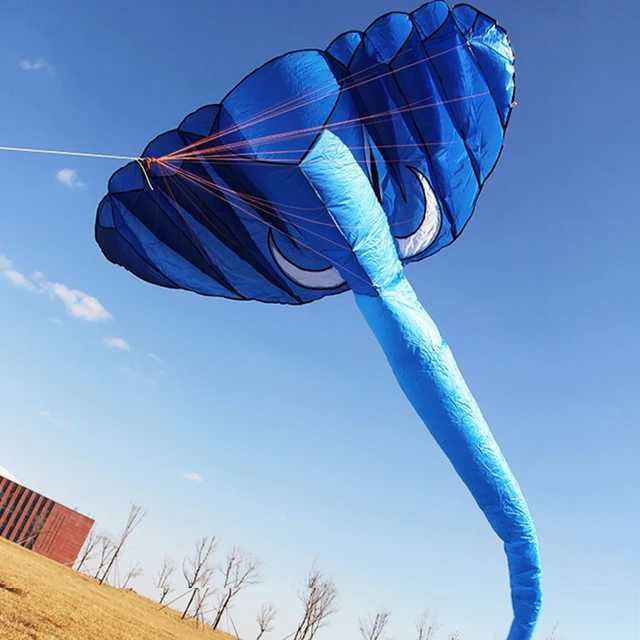 Blue Kite