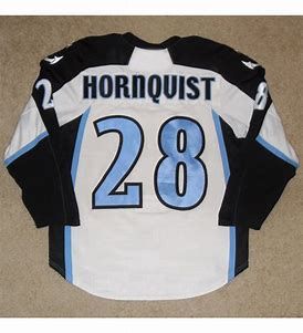 28 Partical Hornqvist