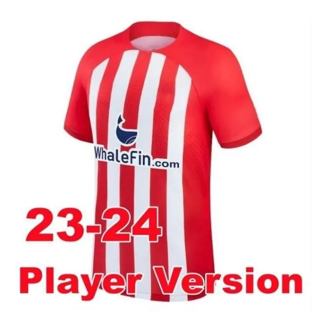 2324 Home Player