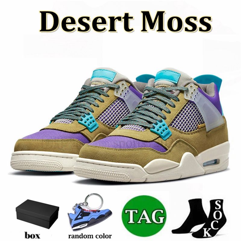 36-47 Desert Moss
