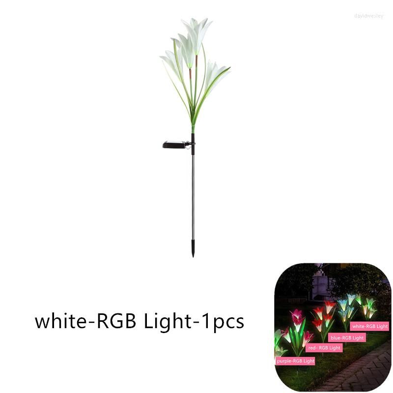 White-RGB licht-1