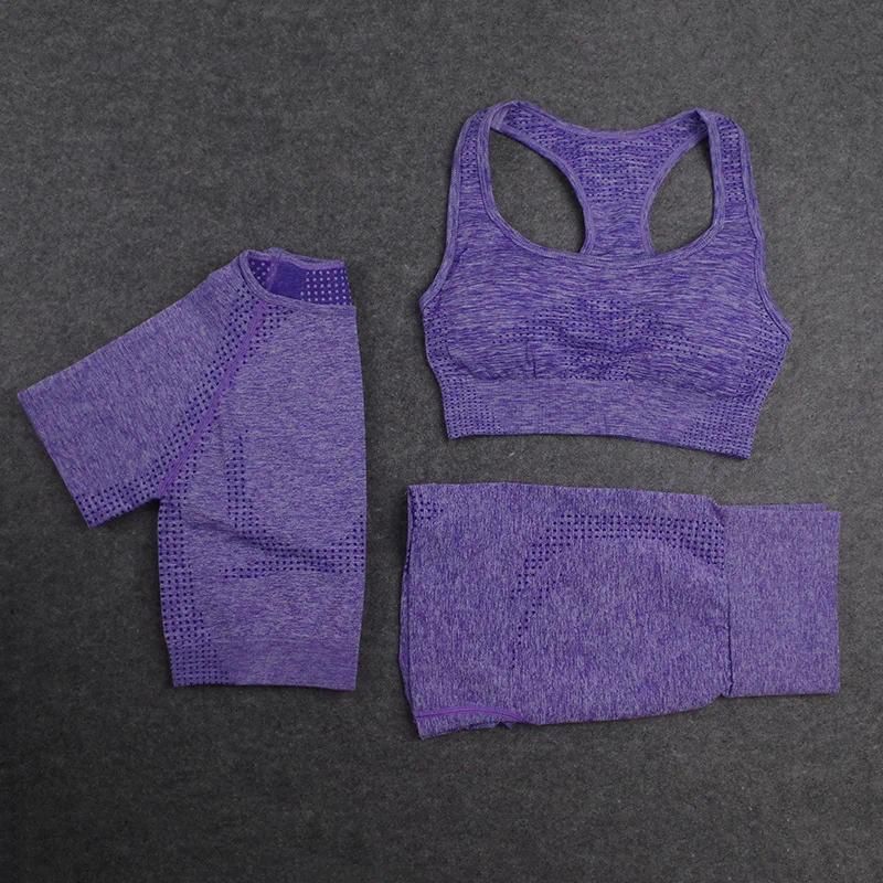 Purple shorts 3pcs