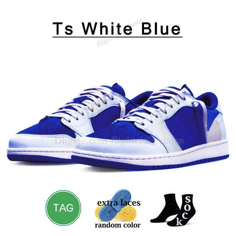 C13 36-46 TS White Blue