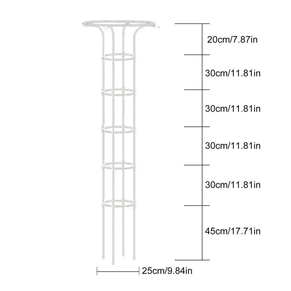 Vit25 cm