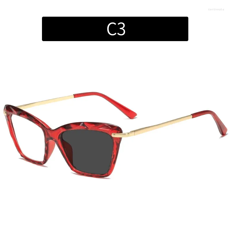 2500-Photochromic-C3