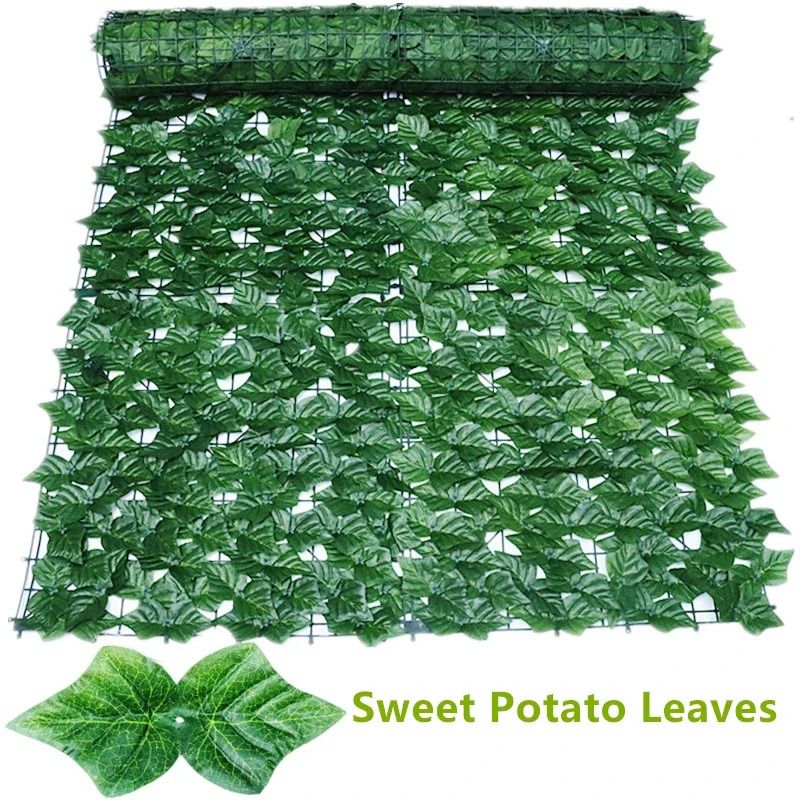 Feuilles de patate douce-2m x 1m