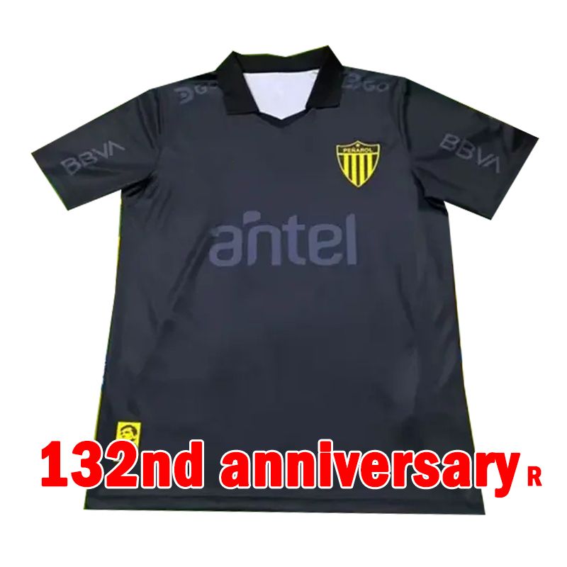 peinaluoer 132 aniversario