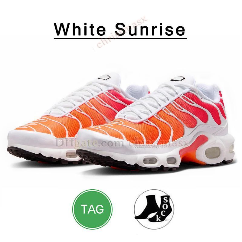 T10 40-46 White Sunrise