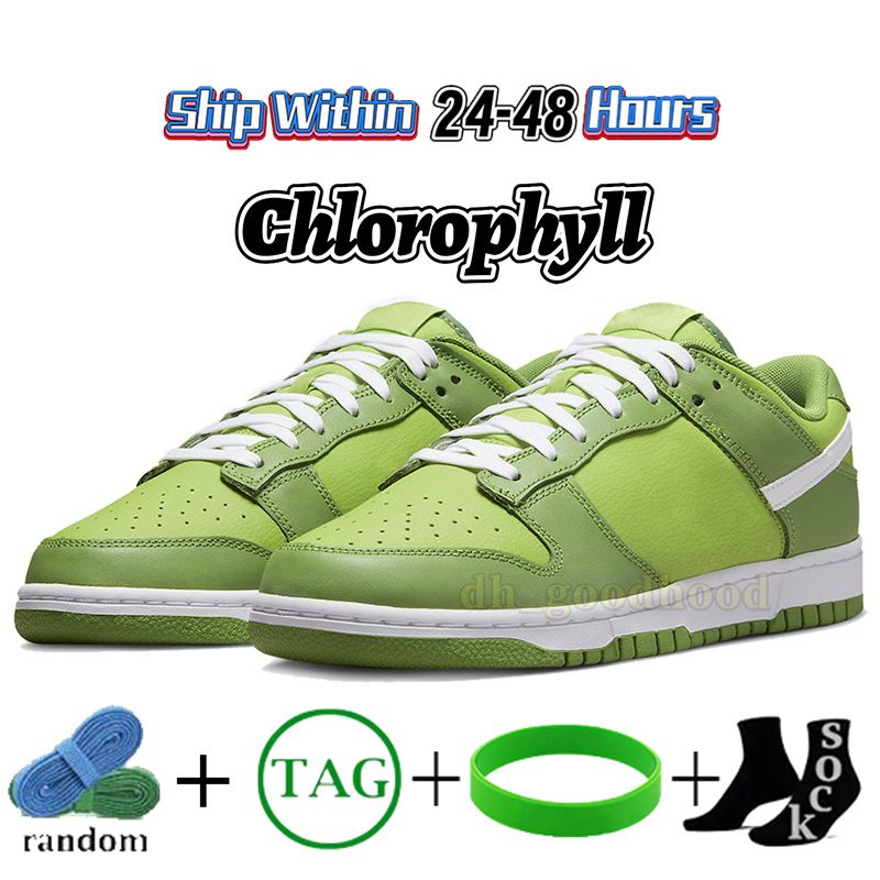 47 Chlorofil