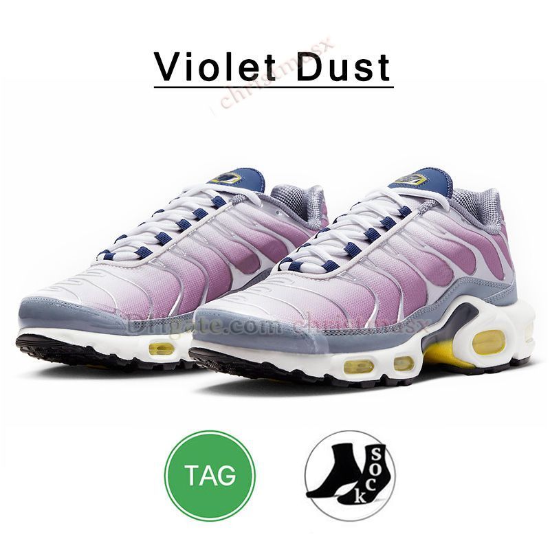 T13 40-46 Violet Dust