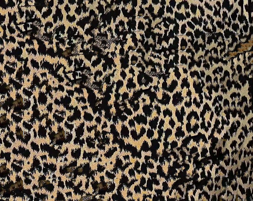 3a Leopard