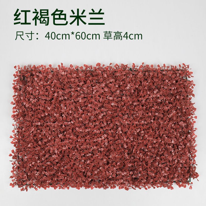 Redbrownmilangrass