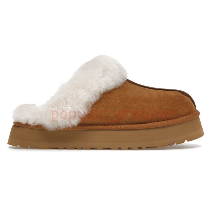 X32 Disquette Chestnut 36-41 120