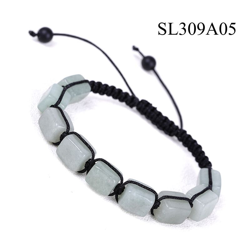 SL309A05